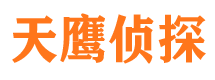 安远市私家侦探